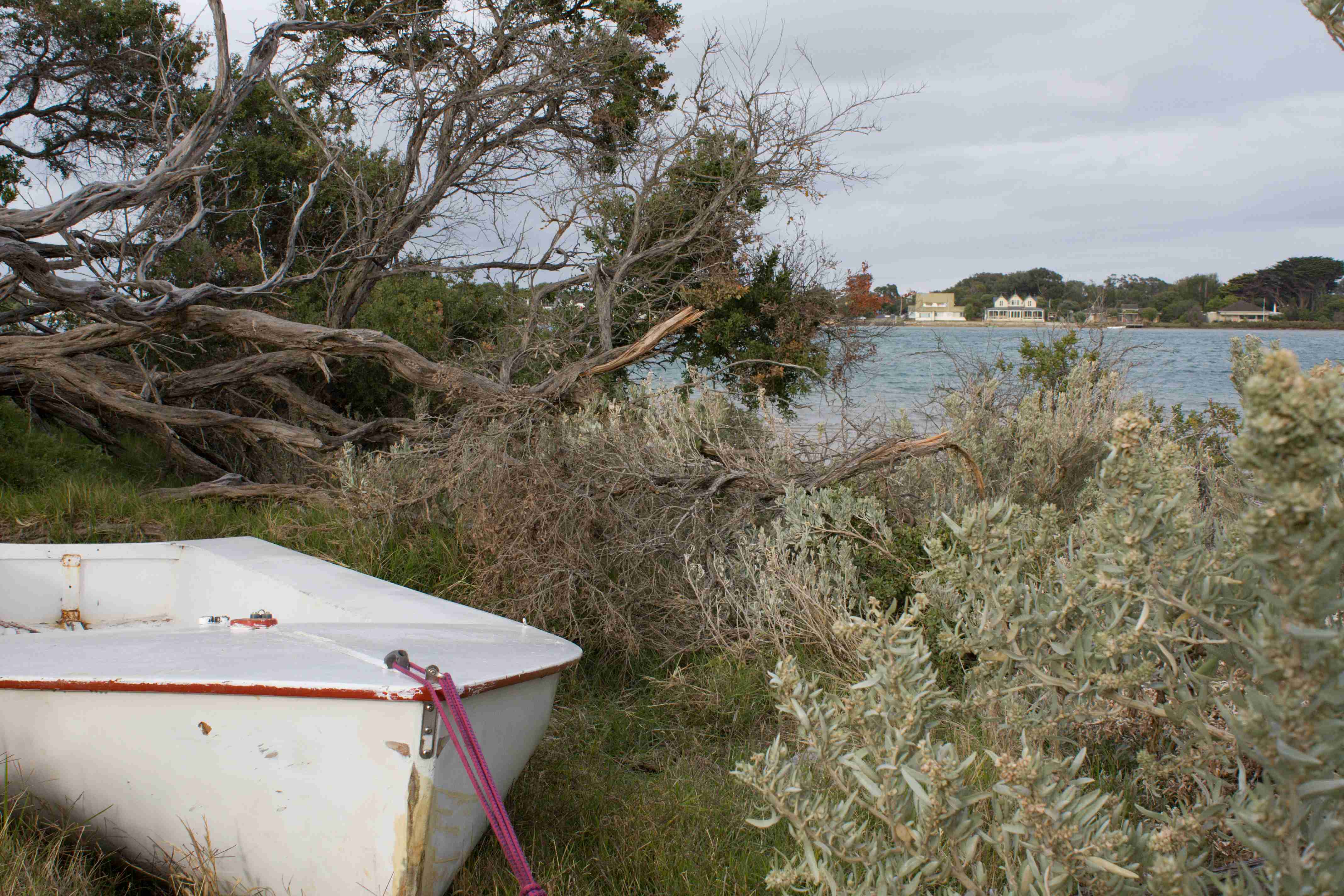 Barwon River, Vic