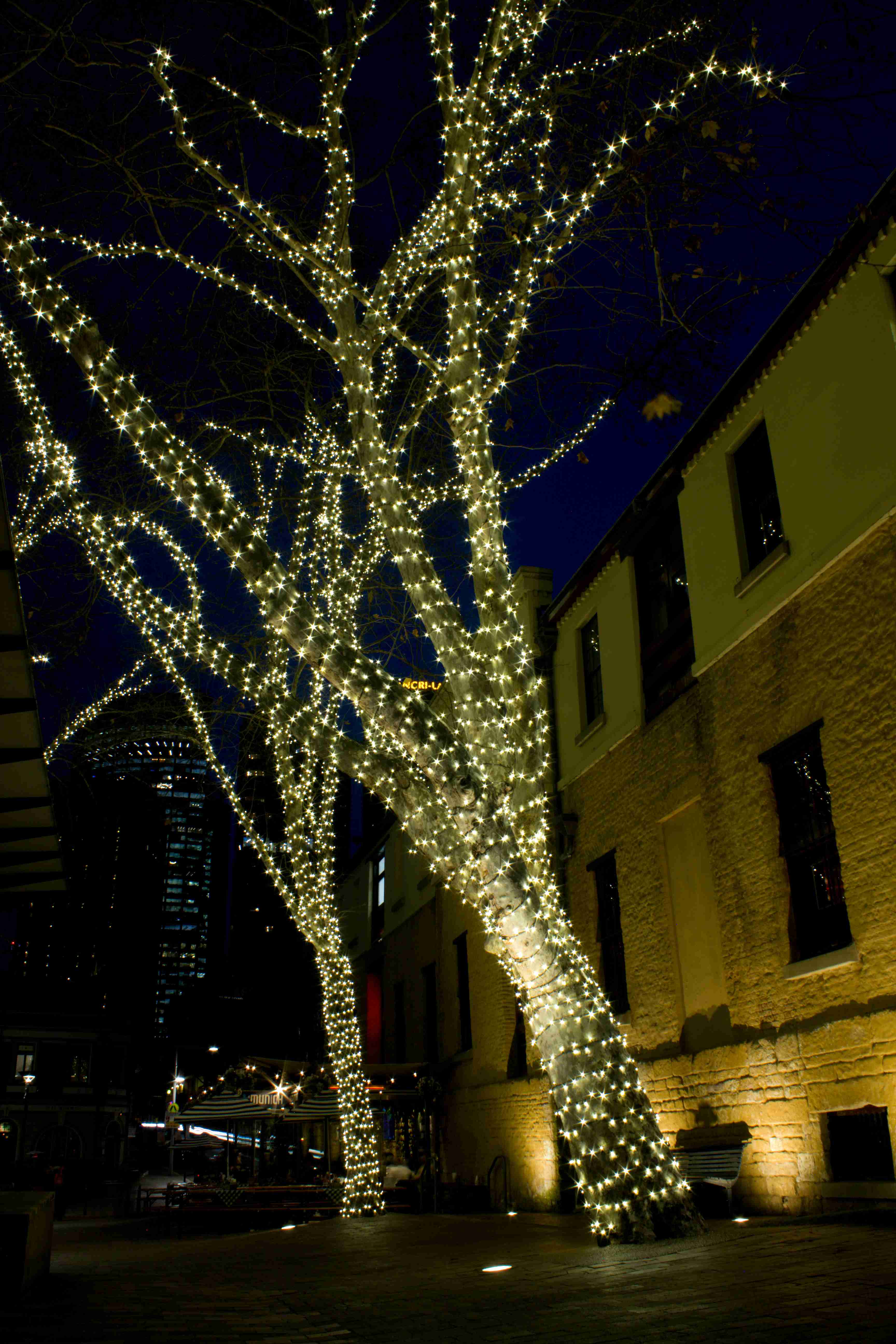 The Rocks, Sydney, NSW