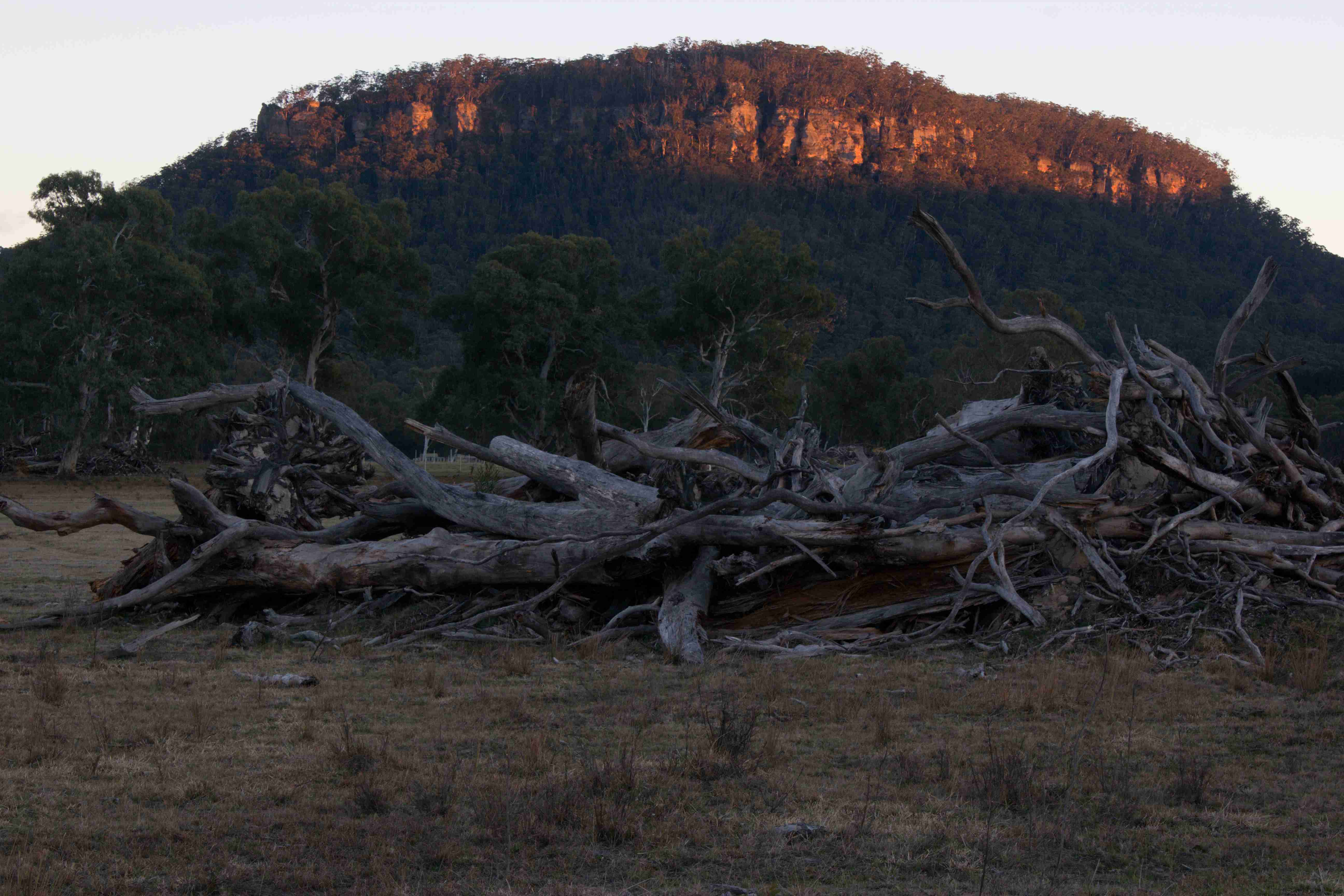 Hartley Vale, Blue Mountains, NSW