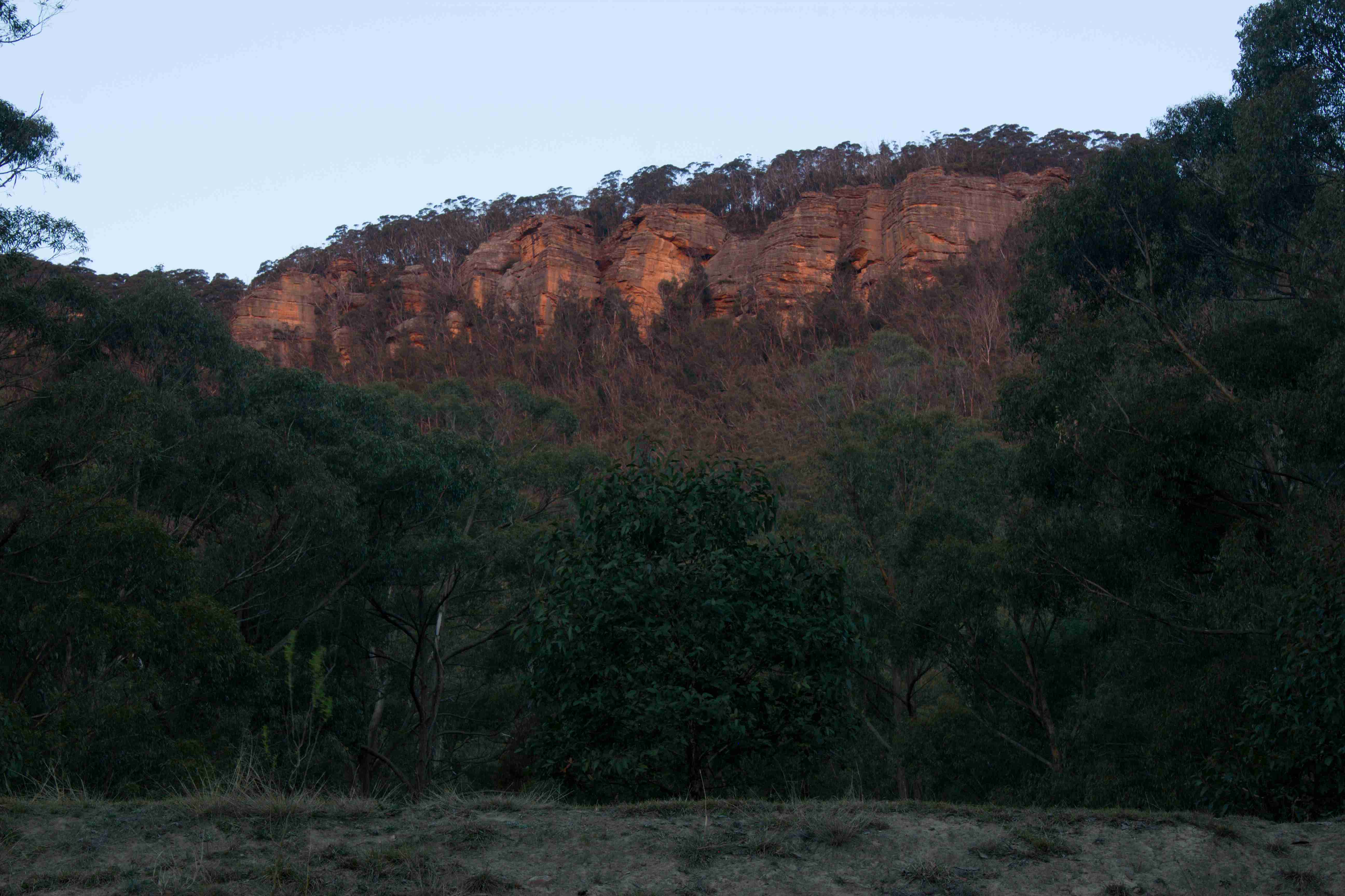 Mt York, NSW